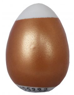 H55222