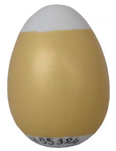 H55324