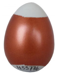 H55774